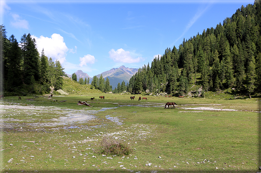 foto Forcella delle Tavarade